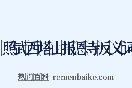照武西塔山报恩寺反义词是什么意思的图片